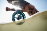 Litespeed F Reel