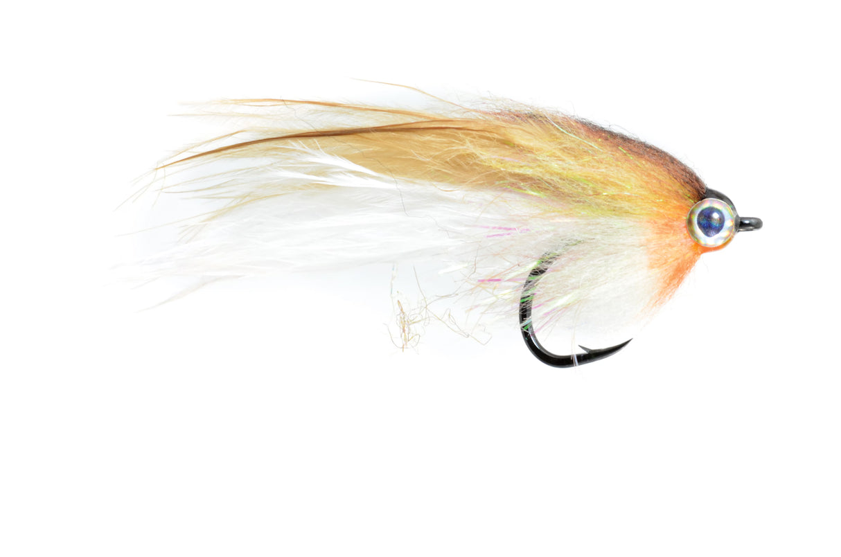 Low Fat Minnow