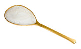 Mid Length Net - w/ Cross Current Outfitters Logo