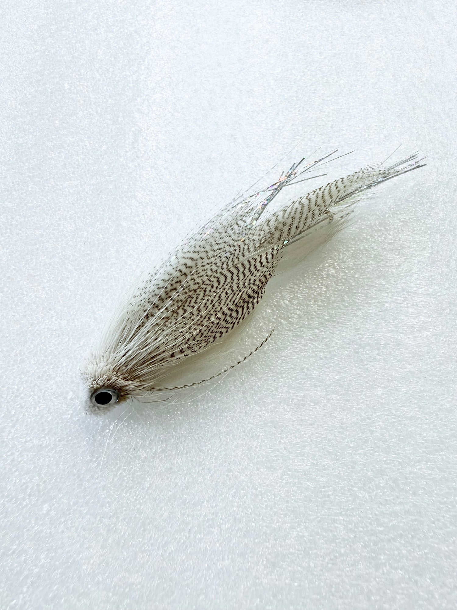 Mini Drunk and Disorderly