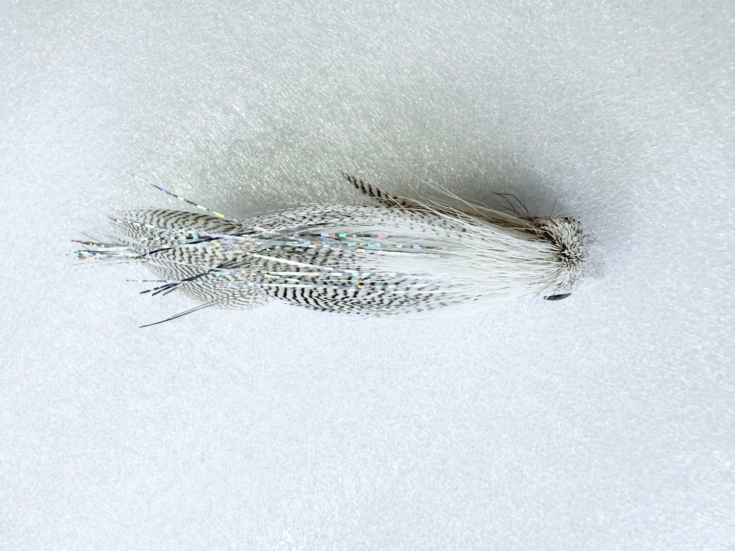 Mini Drunk and Disorderly