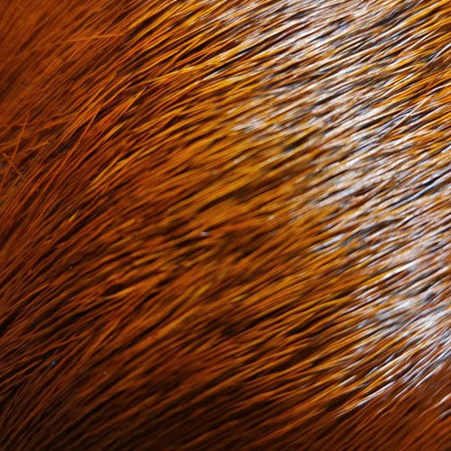 Nature’s Spirit Select Cow Elk (2x3)