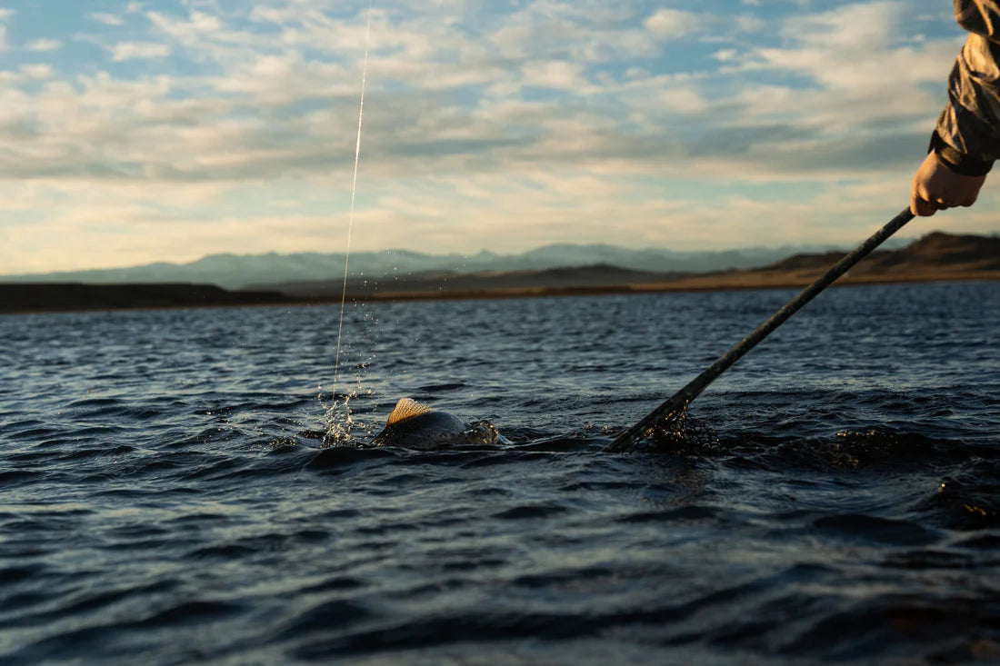 Nomad® Boat Net