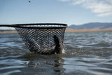 Nomad® Boat Net