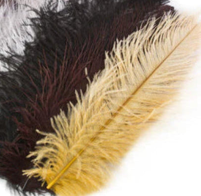 Ostrich Herl