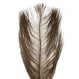 Ostrich Herl