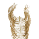 Ostrich Herl
