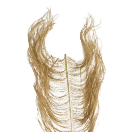 Ostrich Herl