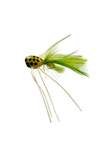 Peeper Popper