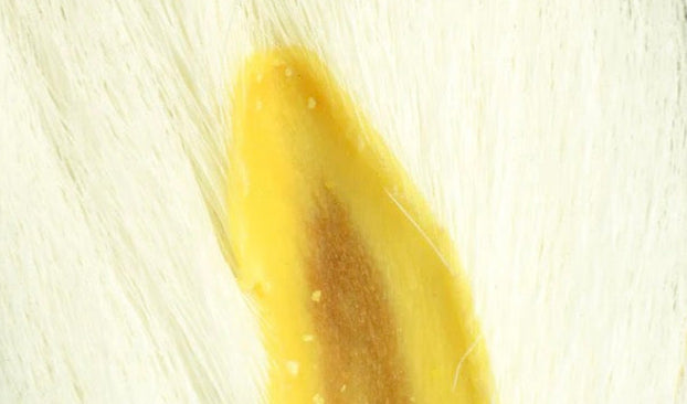 Premium Select Bucktail