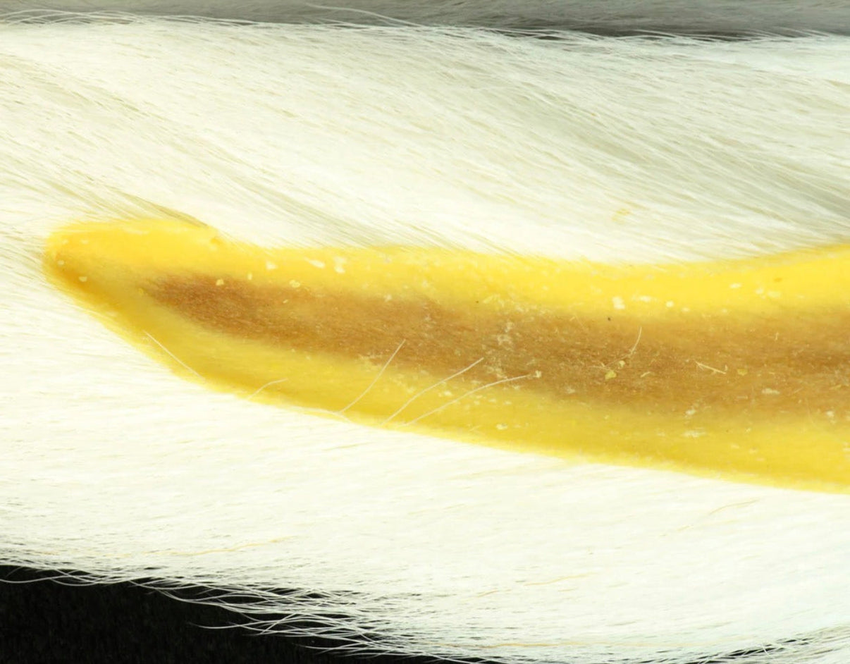Premium Select Bucktail