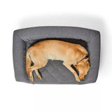 RecoveryZone® Couch Dog Bed