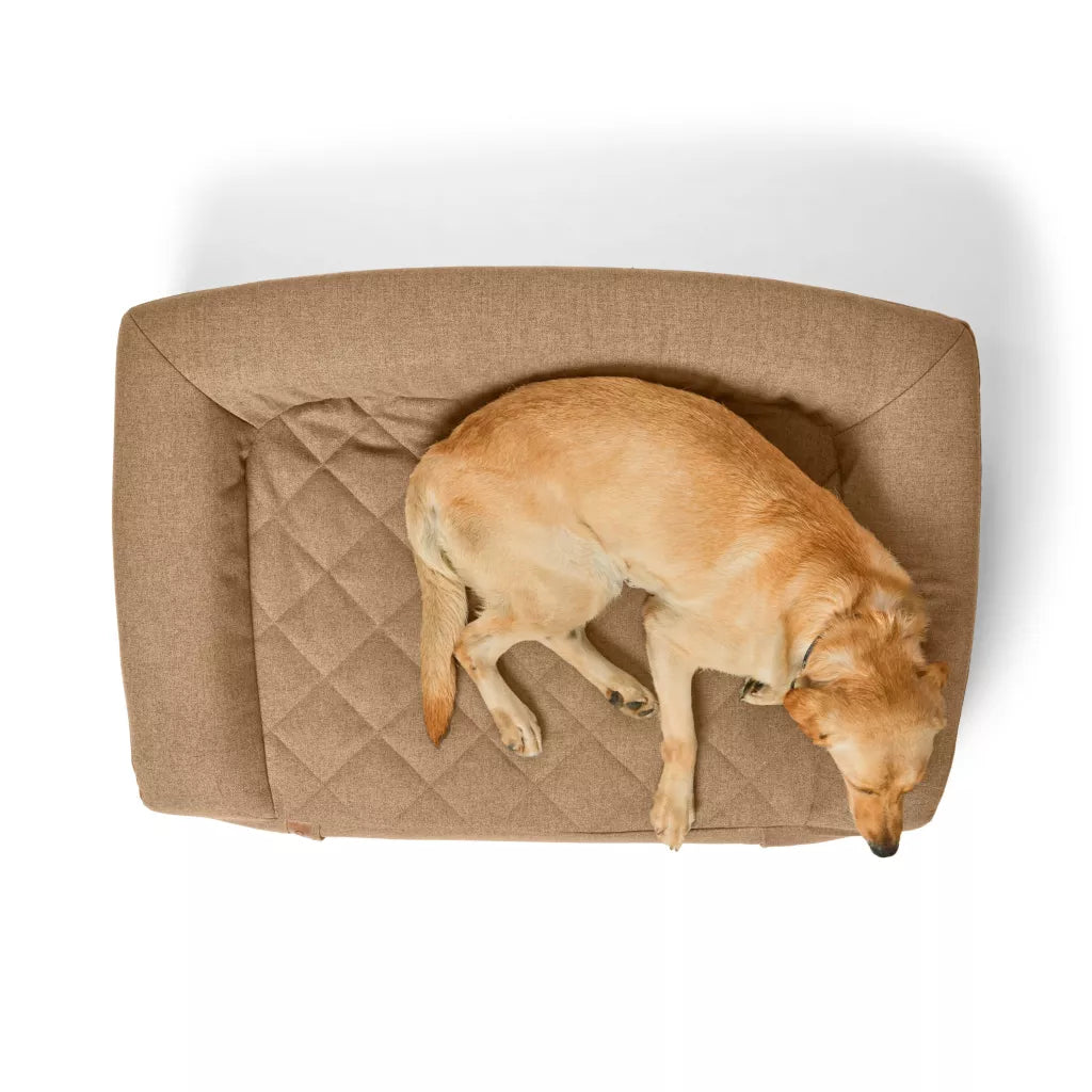 RecoveryZone® Couch Dog Bed