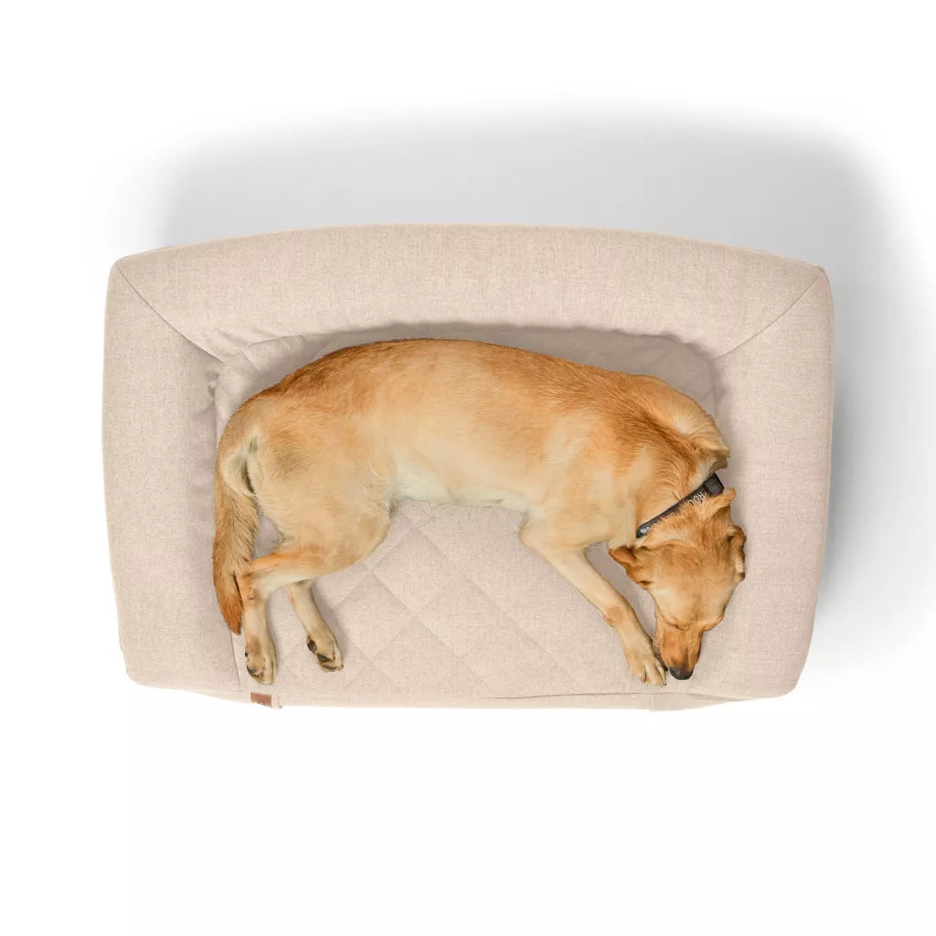 RecoveryZone® Couch Dog Bed