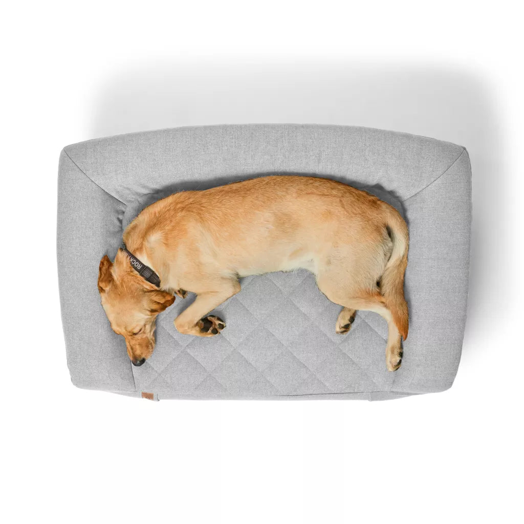 RecoveryZone® Couch Dog Bed