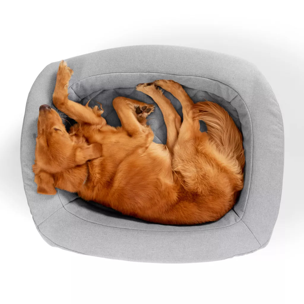 RecoveryZone® Den Dog Bed