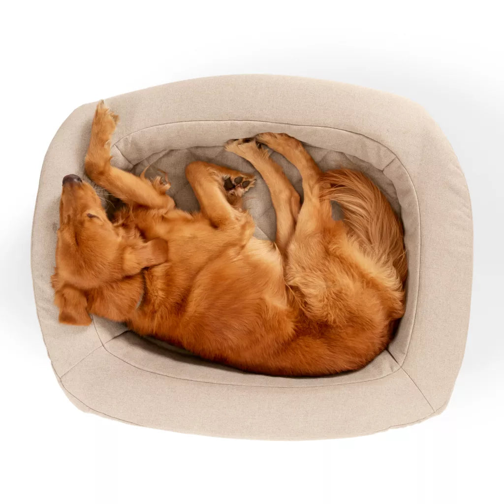 RecoveryZone® Den Dog Bed