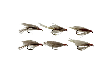 Red Quill Wet - 1/2 dozen