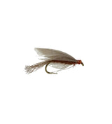 Red Quill Wet - 1/2 dozen
