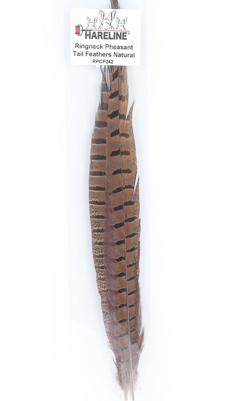 Ringneck Pheasant Tail Feathers