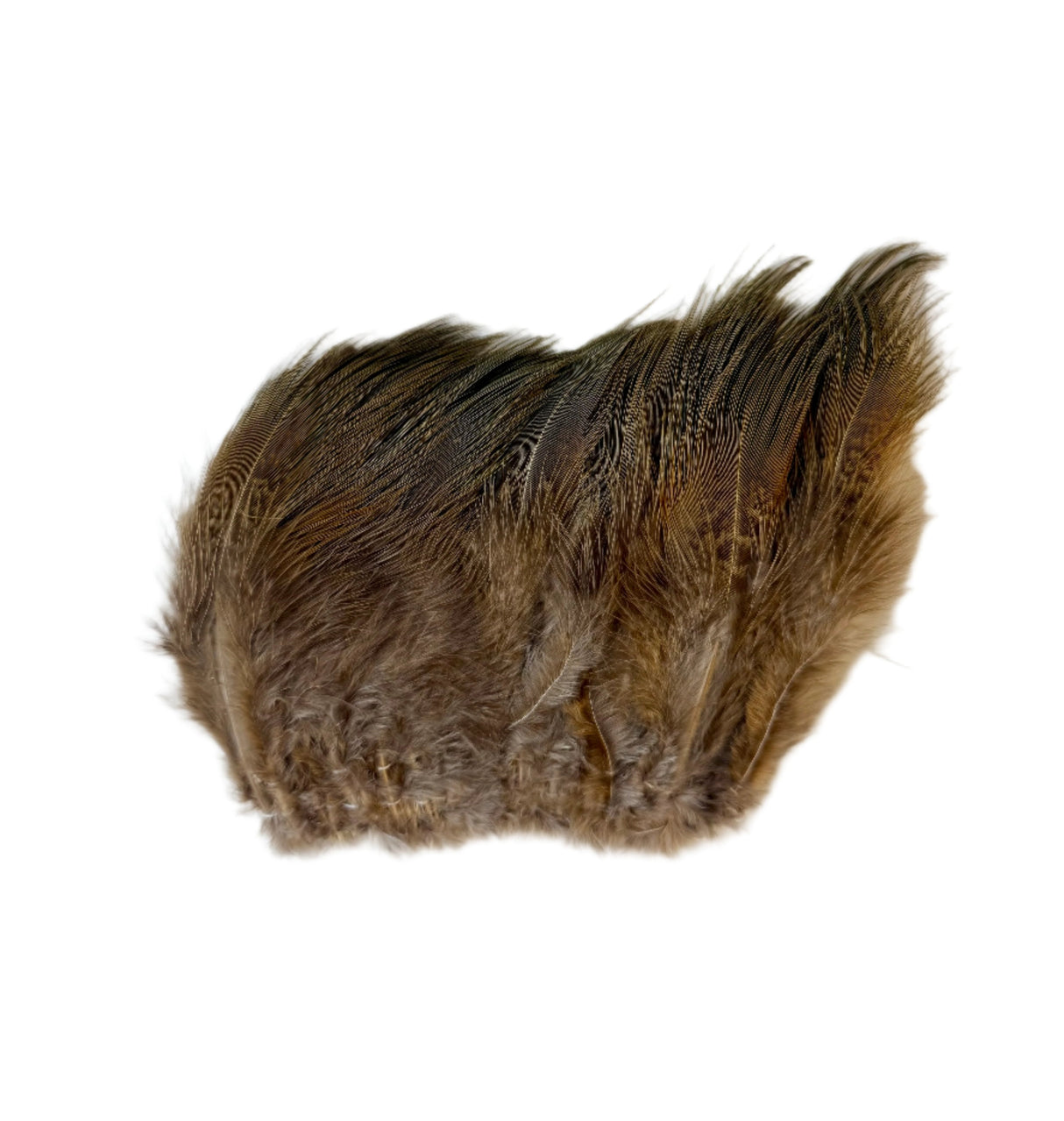 Ringneck Rump Hackle - SALE