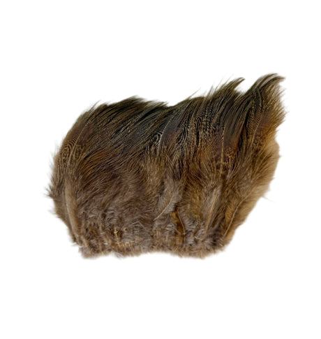 Ringneck Rump Hackle - SALE