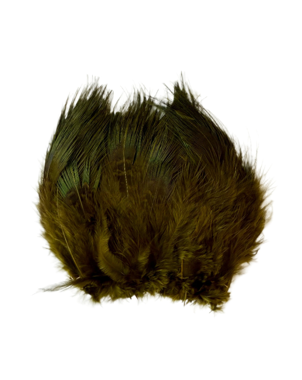 Ringneck Rump Hackle - SALE