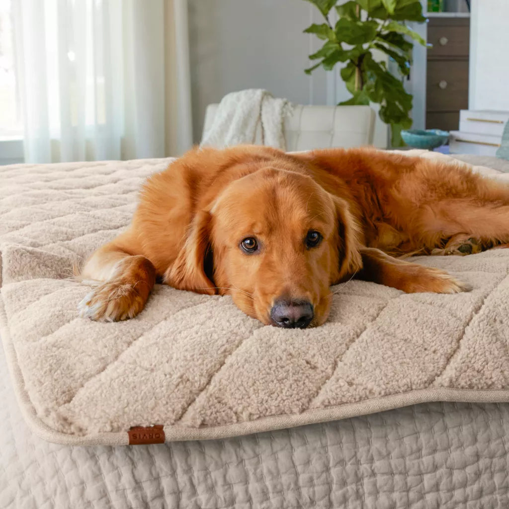 Sherpa Fleece Dog Throw Blanket