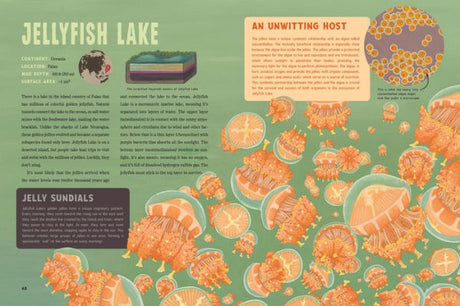 'Spooky Lakes' by Geo Rutherford