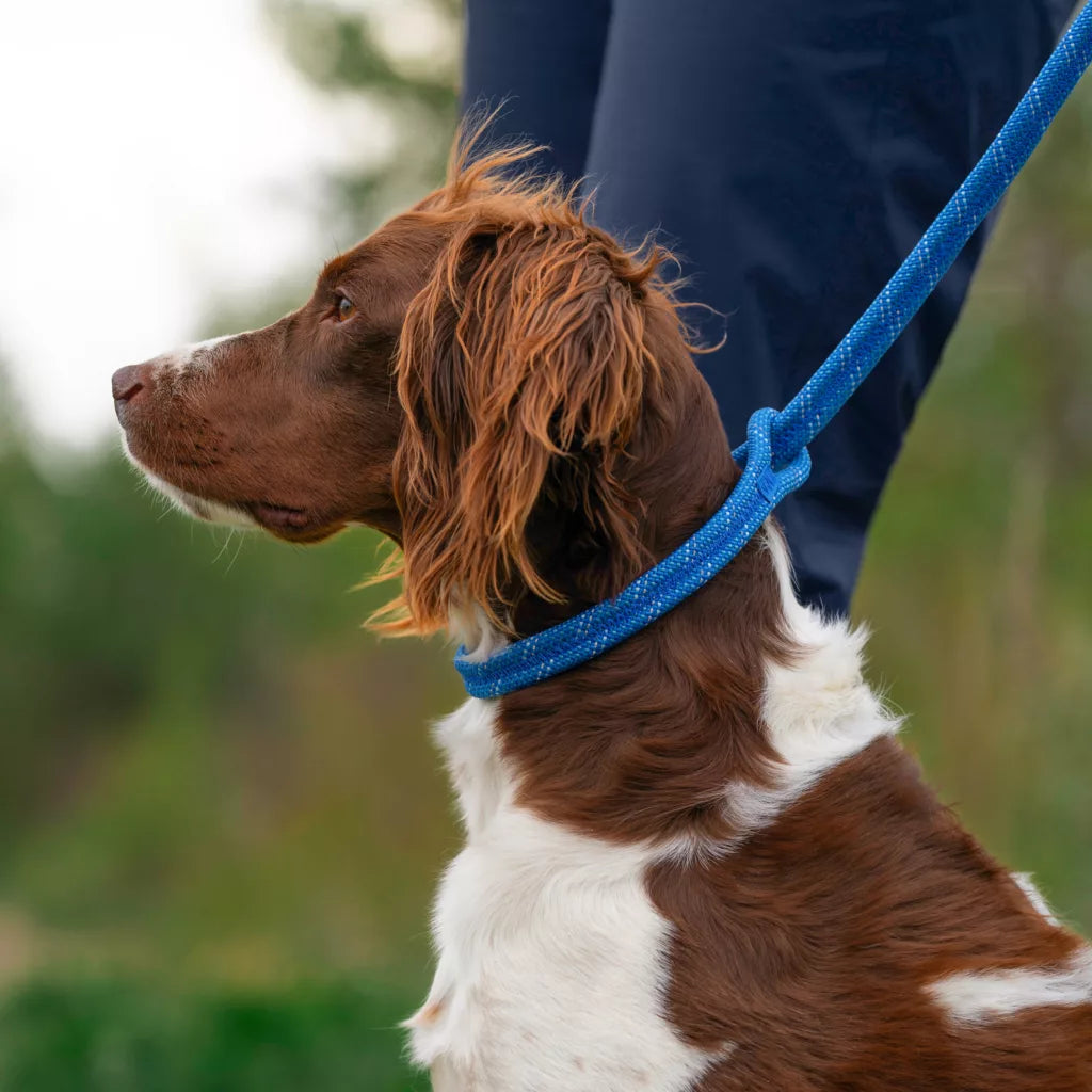 Tough Trail® Climbing Rope Slip Dog Lead