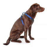 Tough Trail® Four-Point Dog Harness