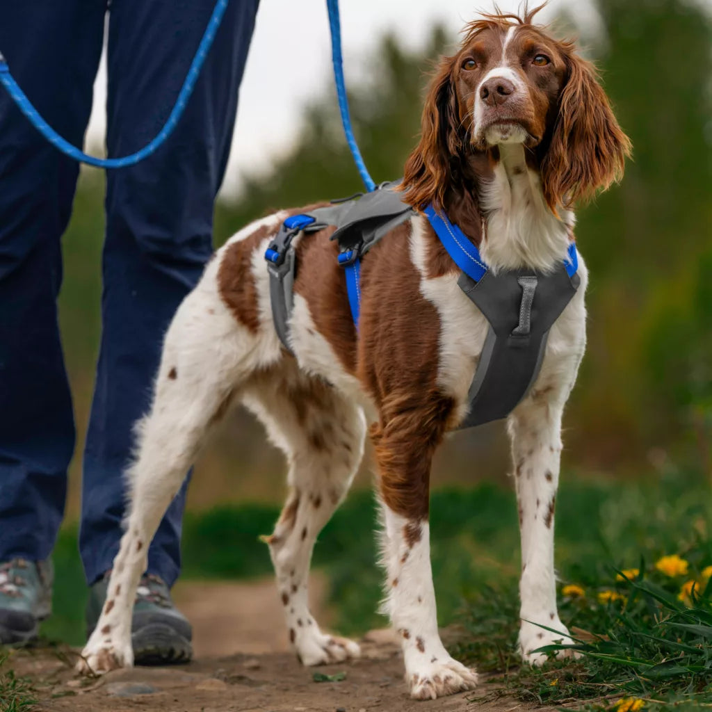 Tough Trail® Six-Point Dog Harness