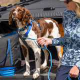 Tough Trail® Four-Point Dog Harness