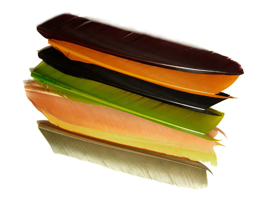 Turkey Biots