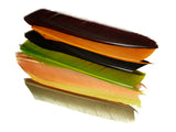 Turkey Biots