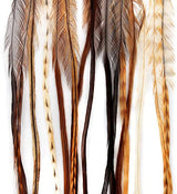 Whiting 100 Pack