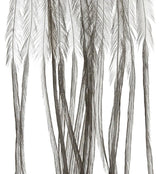 Whiting 100 Pack