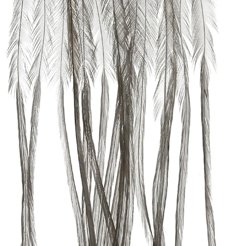 Whiting 100 Pack