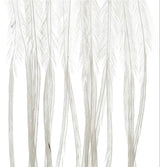 Whiting 100 Pack