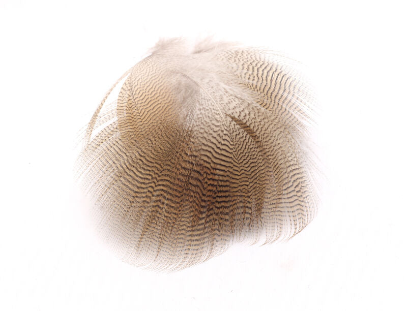 Woodduck Feathers Lemon