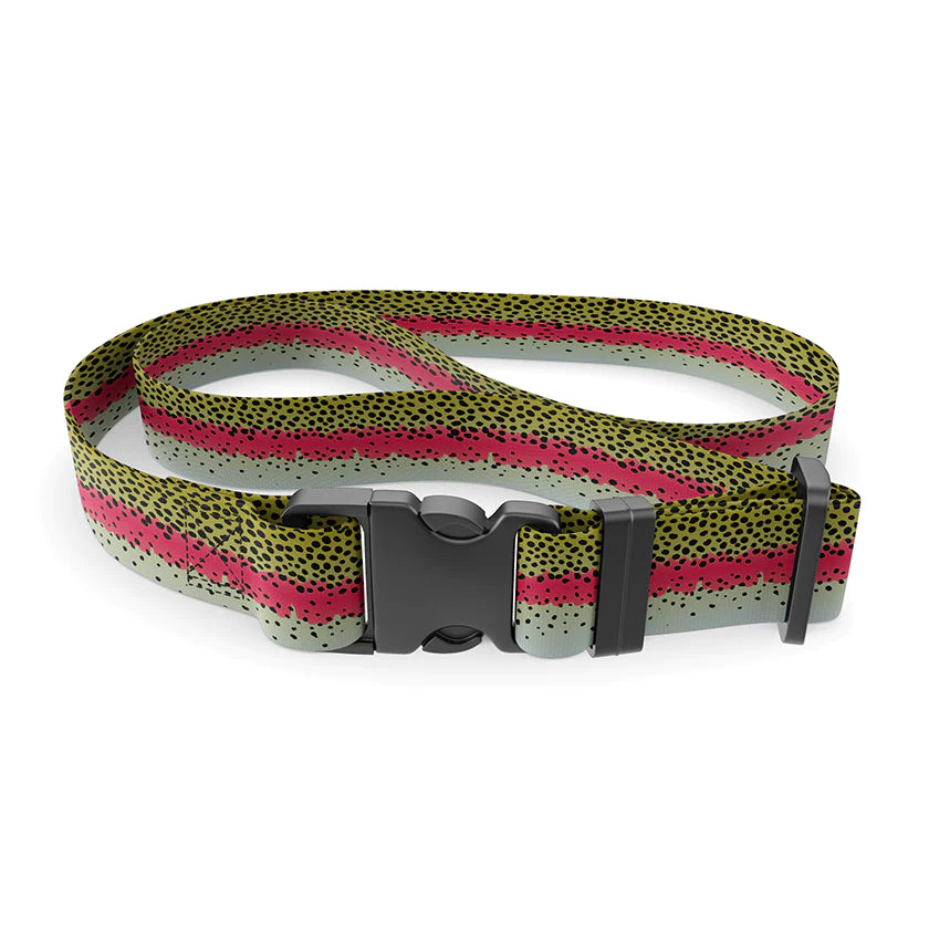 Wingo Outdoors Wading Belt