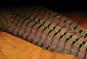 Hareline Ringneck Pheasant Tail